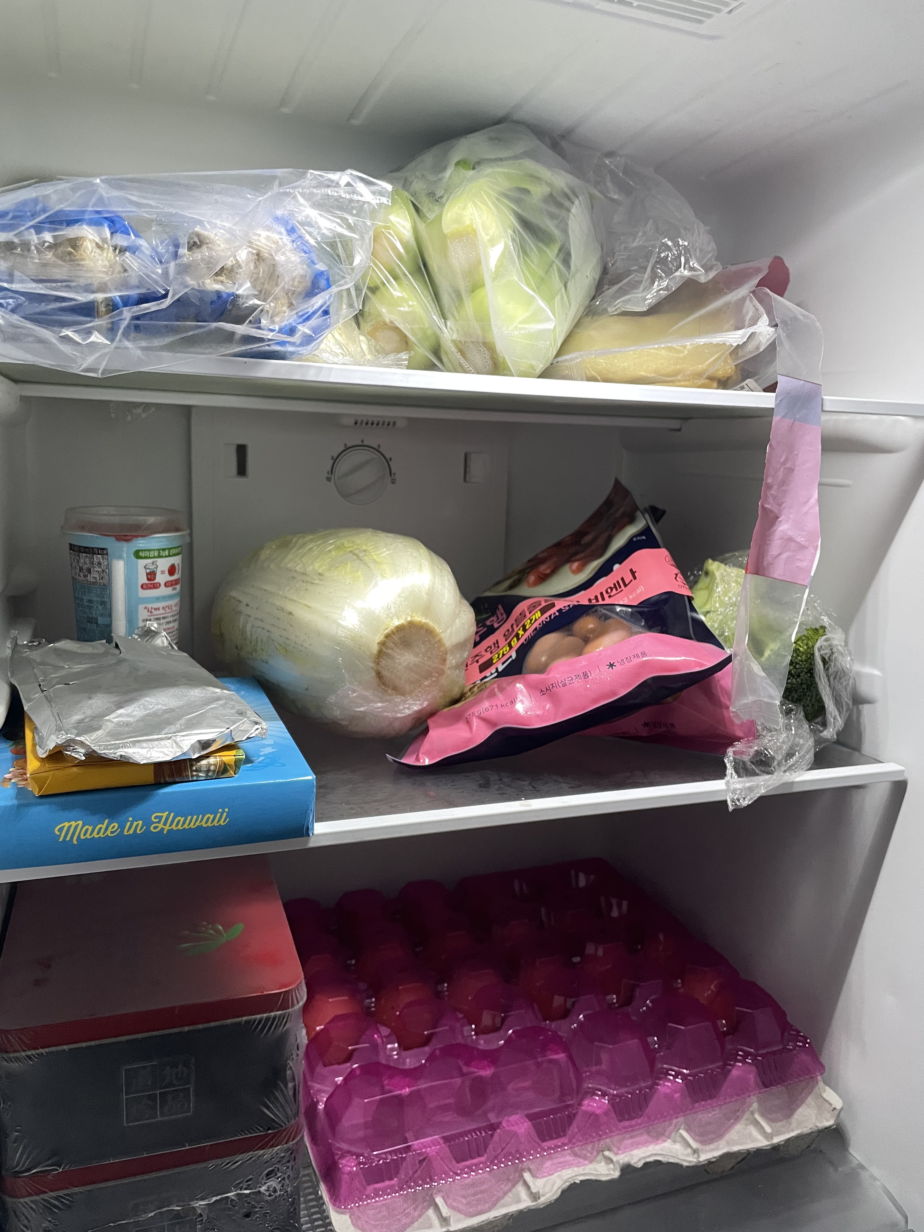 买白菜的那天打开冰箱门愣住了 我竟然冰箱里几乎只有菜了.JPG